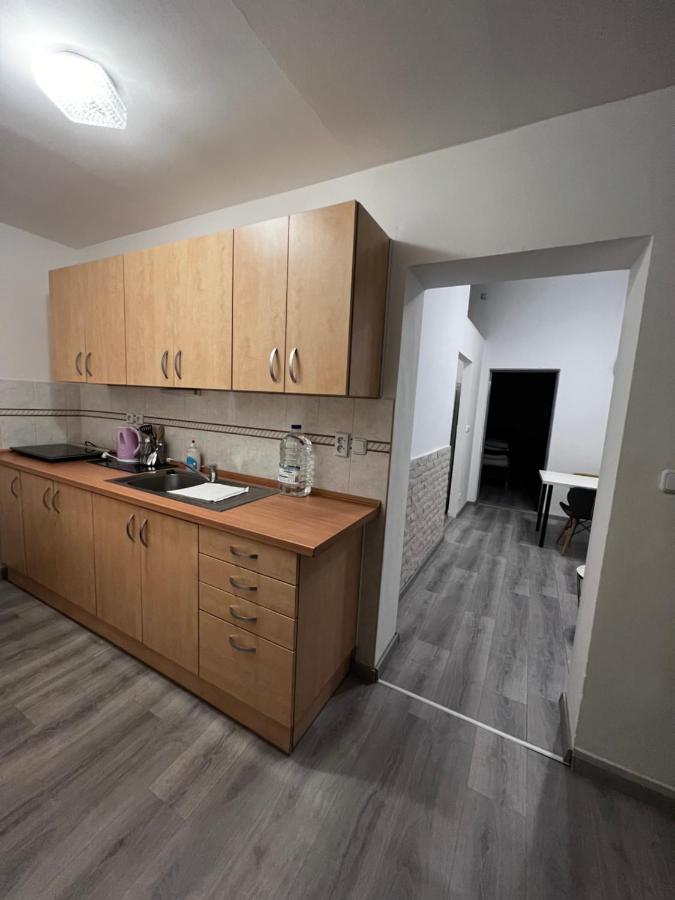 Mlynsky Ostrov Apartment 2 Zdice Екстер'єр фото